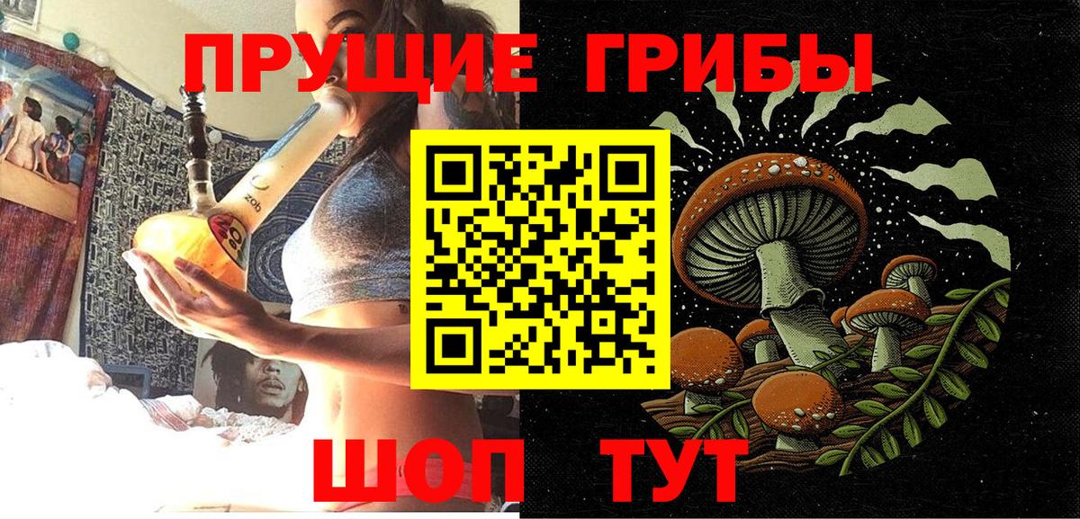 Галлюциногенные грибы Psilocybine cubensis Одинцово